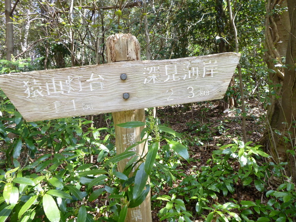 d0170615_19484384.jpg