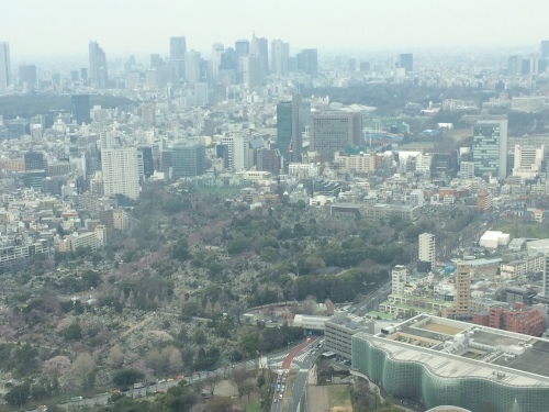c0131818_13184720.jpeg