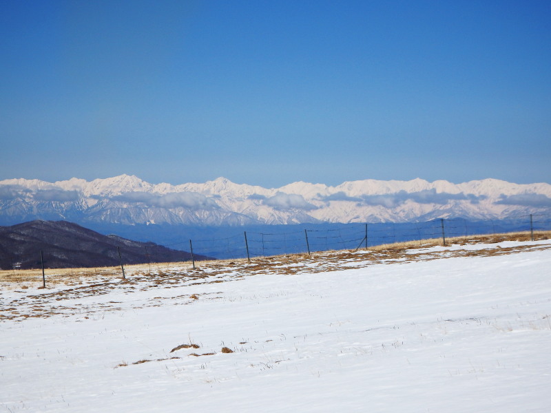 登友会3月定例登山＠四阿山_f0330321_2120582.jpg