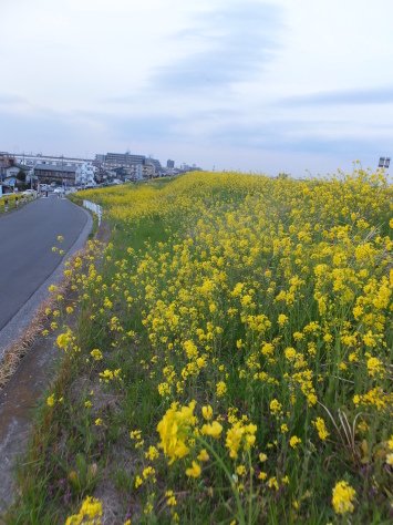 f0144724_17380201.jpg