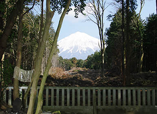 b0159328_20263537.png