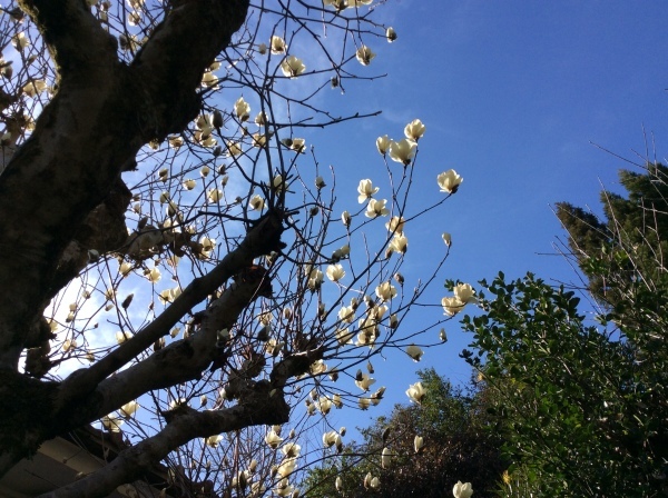 d0349130_19522296.jpeg