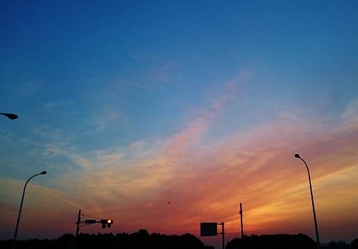 a0230831_18095606.jpg