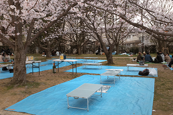 うらめしや_a0097735_22592739.jpg