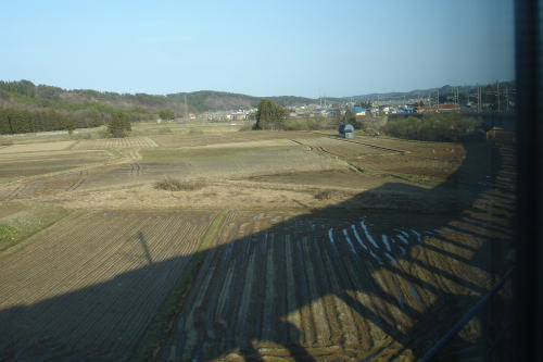a0338635_11821.jpg