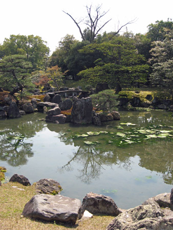 京都二条城の桜_f0234936_5595015.jpg