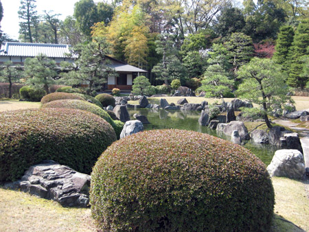 京都二条城の桜_f0234936_603292.jpg