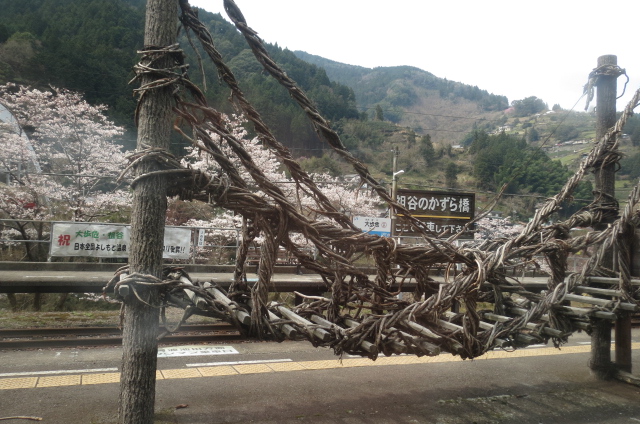e0060041_11113849.jpg