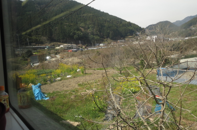 e0060041_11124915.jpg