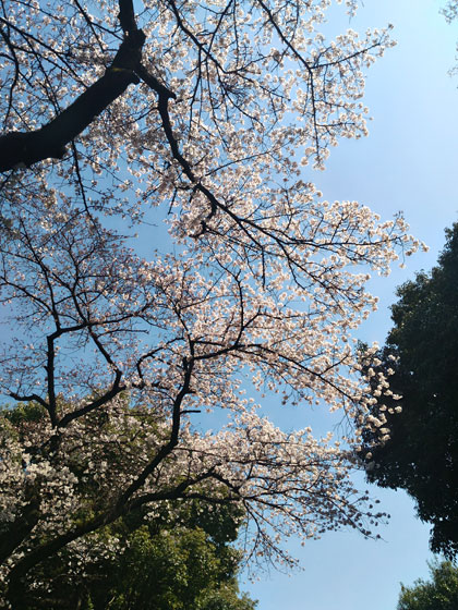 c0039153_12126.jpg