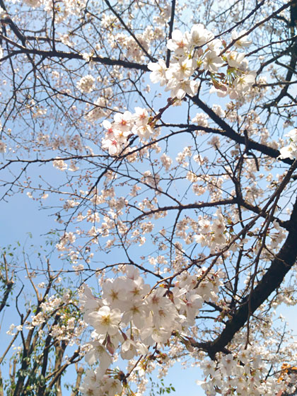 c0039153_12635.jpg