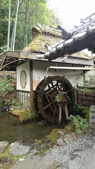 「心のお洗濯日」 高尾山 うかい竹亭のお庭 2016.3.28_d0347253_20372810.jpg