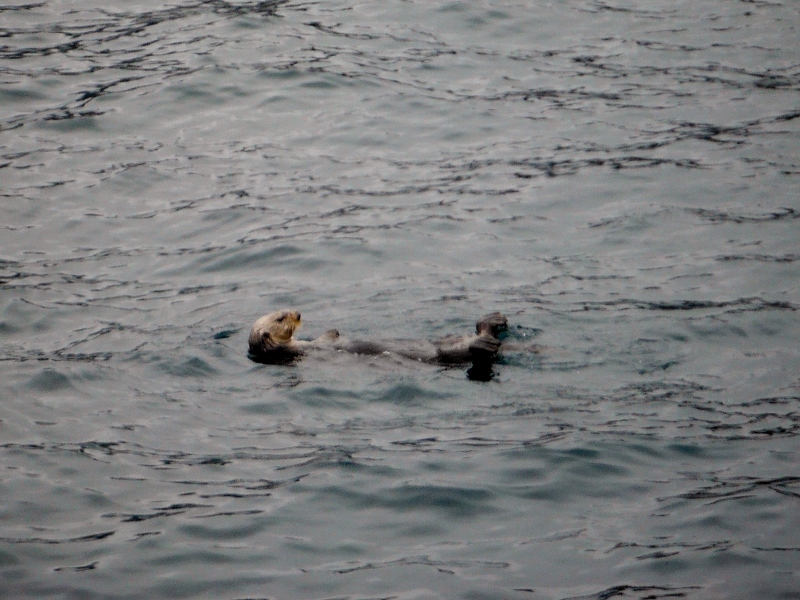d0143355_7151558.jpg