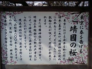 【今月の唄】同期の桜_c0323257_03023790.jpg