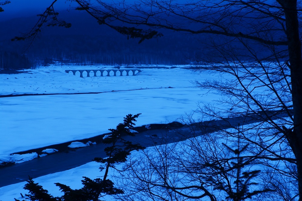 d0333958_20314913.jpg