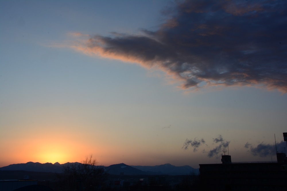 d0333958_20332722.jpg