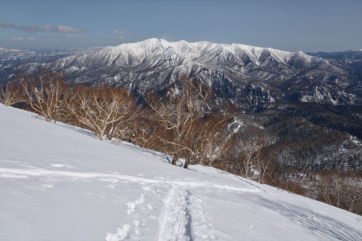 雪をまとった表大雪も綺麗だったよ～黒岳～_b0281366_10273843.jpg