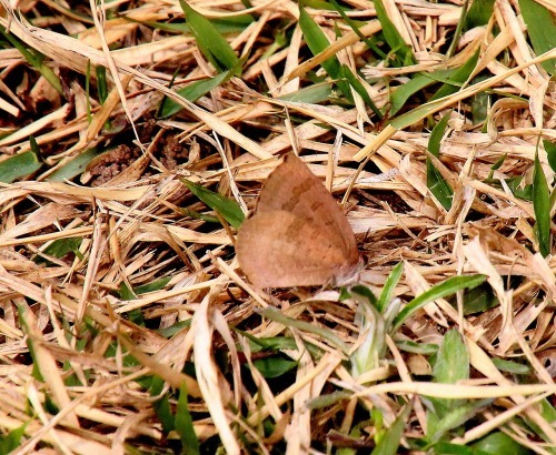 b0320769_16200859.jpg