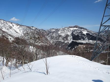 猿ヶ山　　楽園・・そして驚きの嬉しい出会い_f0302771_9434584.jpg