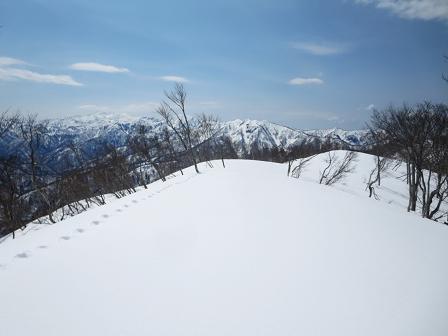 猿ヶ山　　楽園・・そして驚きの嬉しい出会い_f0302771_9451034.jpg