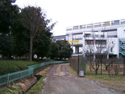 立川公園(旧)菖蒲園の池と柴崎分水迂回路 : 多摩の中ほど