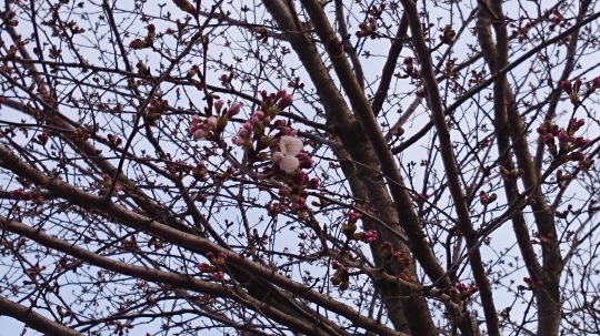 b0224776_11321959.jpeg