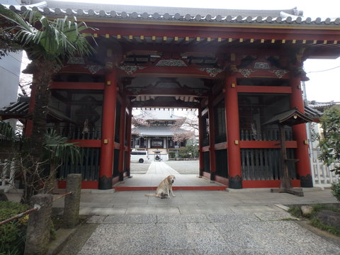 f0052277_3253732.jpg