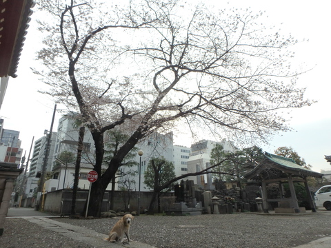 f0052277_3263938.jpg