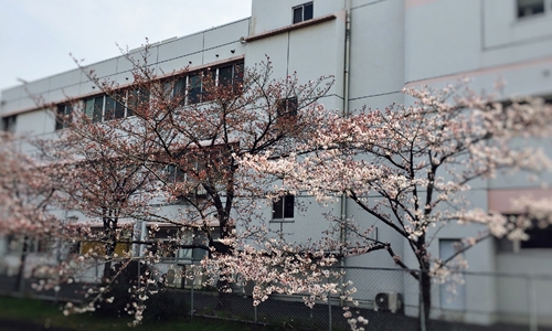 f0299682_1712710.jpg