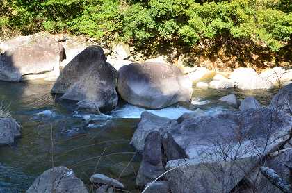 c0229483_0172966.jpg