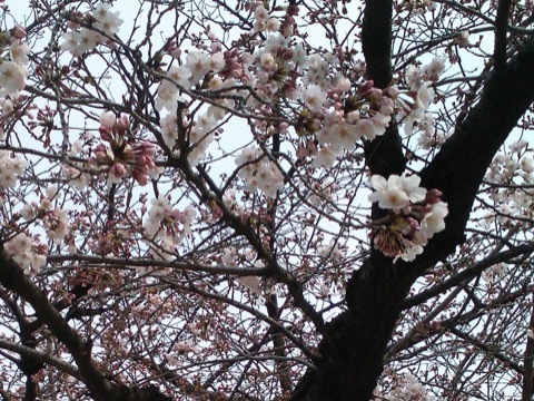 d0115985_23593767.jpeg