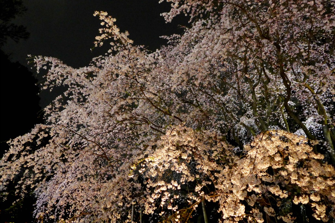 a0127090_22245190.jpg