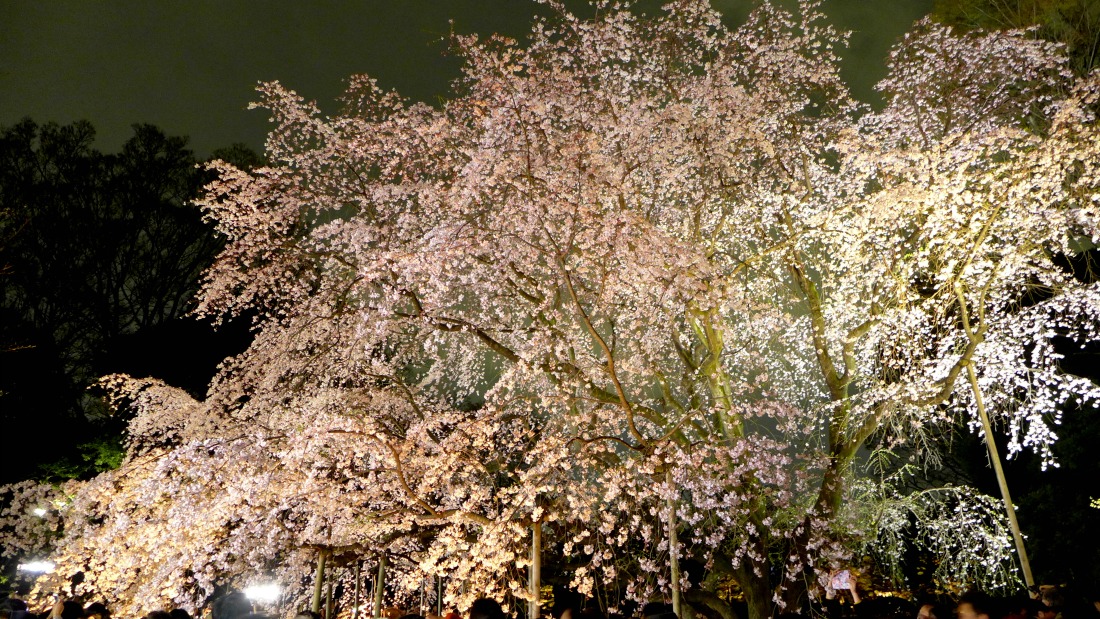 a0127090_22253310.jpg