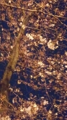行ってらっしゃい_a0134296_02141324.jpg