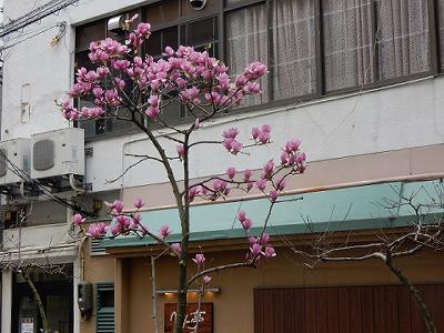 b0051598_22394476.jpg