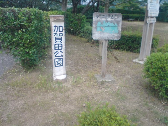 加賀田公園です。_b0212898_10024119.jpg