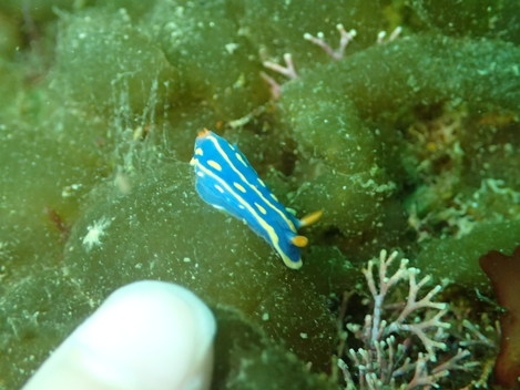 e0115199_20143611.jpg