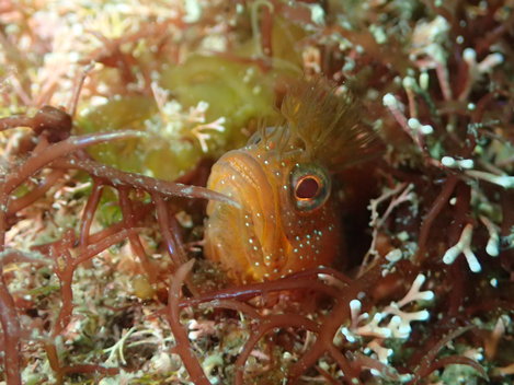 e0115199_20152696.jpg