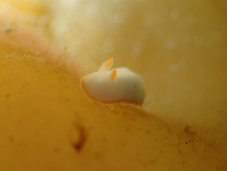 e0115199_20154116.jpg