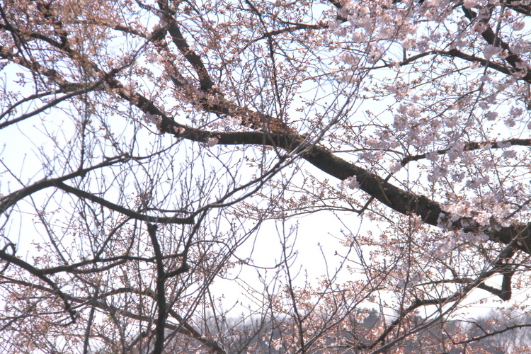 d0248502_05554159.jpg