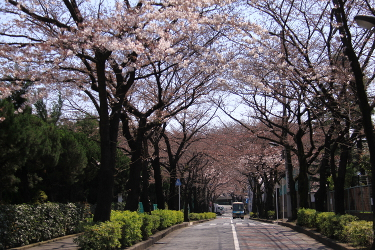 d0248502_05571846.jpg