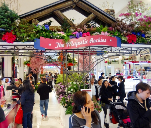 メイシーズのフラワーショー Macy\'s Flower Show 2016_b0007805_2435656.jpg