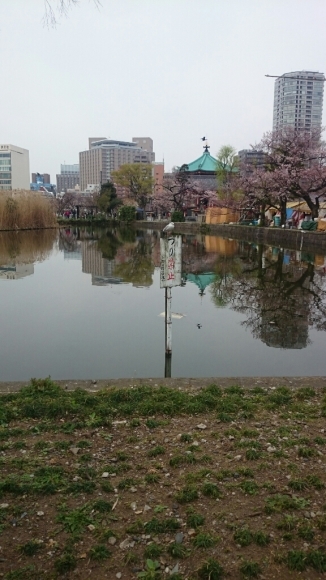 a0228408_19341742.jpg