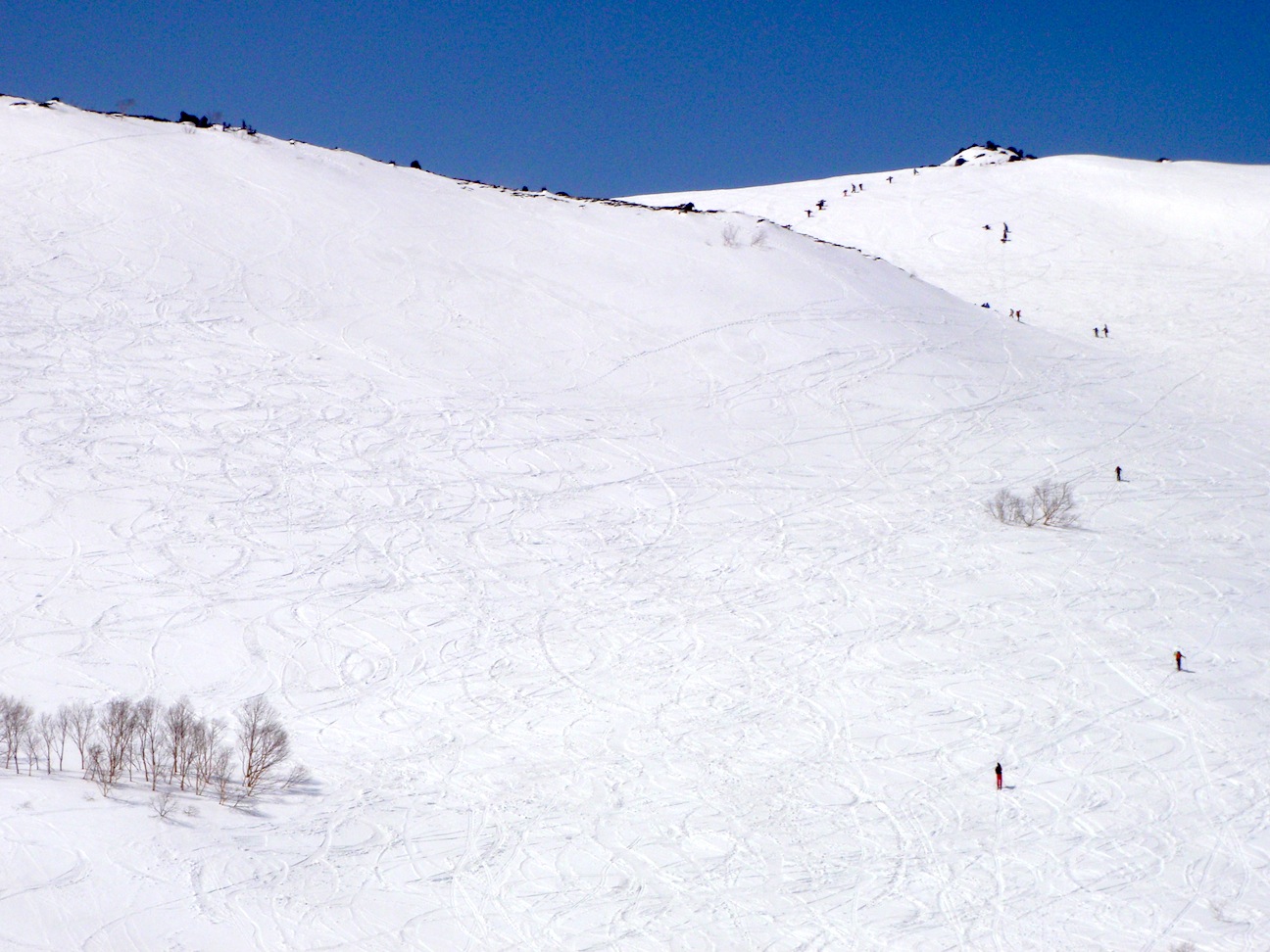 バックカントリー2016　白馬乗鞍岳　3月30日（水）_c0078410_511233.jpg