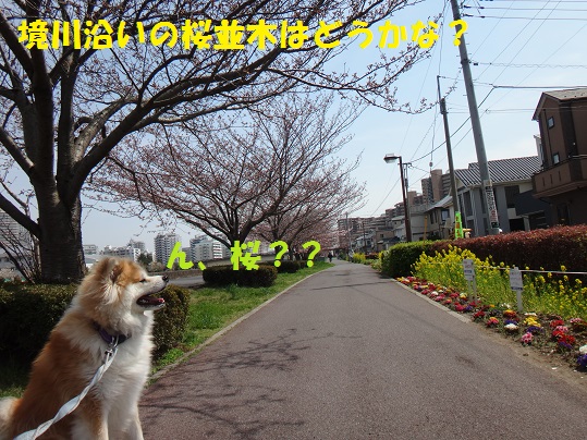 f0121712_14455891.jpg