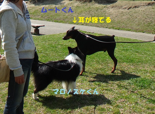 f0121712_15273011.jpg
