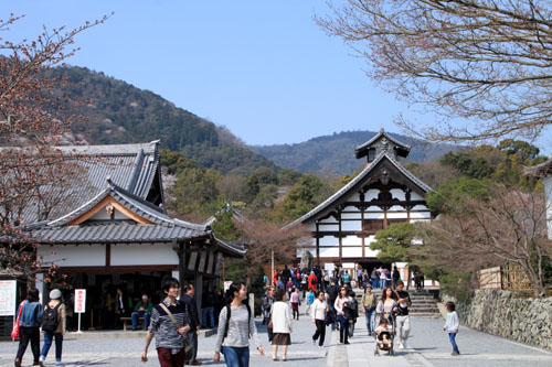 16 桜だより16 嵐山1天龍寺_e0048413_21104820.jpg