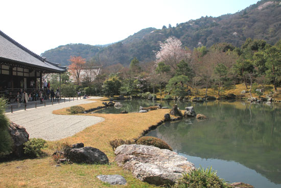 16 桜だより16 嵐山1天龍寺_e0048413_2111296.jpg
