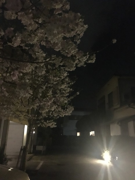 e0172219_23121358.jpeg