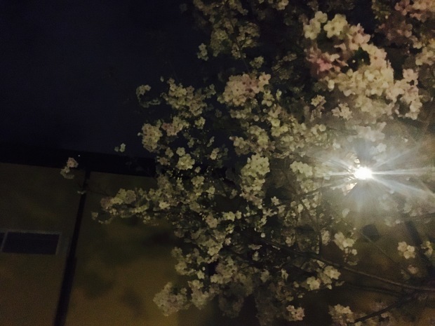 e0172219_23284150.jpeg